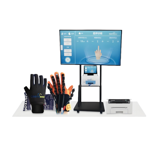 手功能评估与训练系统